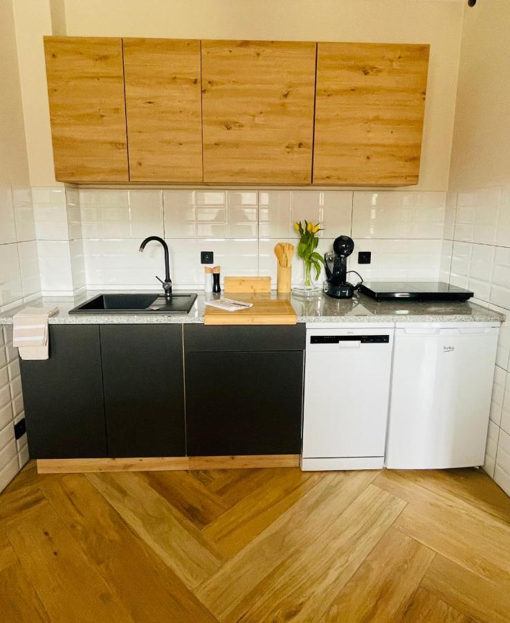 Gorska Cisza - Duzy, Komfortowy, Wyjatkowy Apartament Stronie Śląskie Exteriör bild