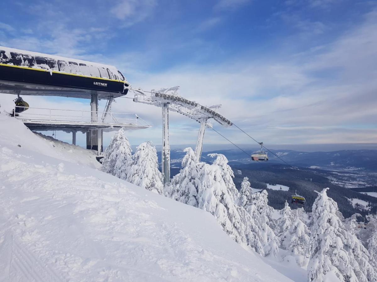 Gorska Cisza - Duzy, Komfortowy, Wyjatkowy Apartament Stronie Śląskie Exteriör bild