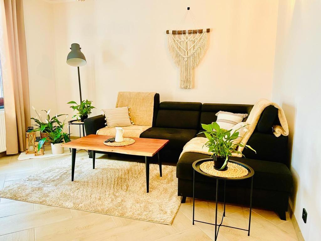 Gorska Cisza - Duzy, Komfortowy, Wyjatkowy Apartament Stronie Śląskie Exteriör bild