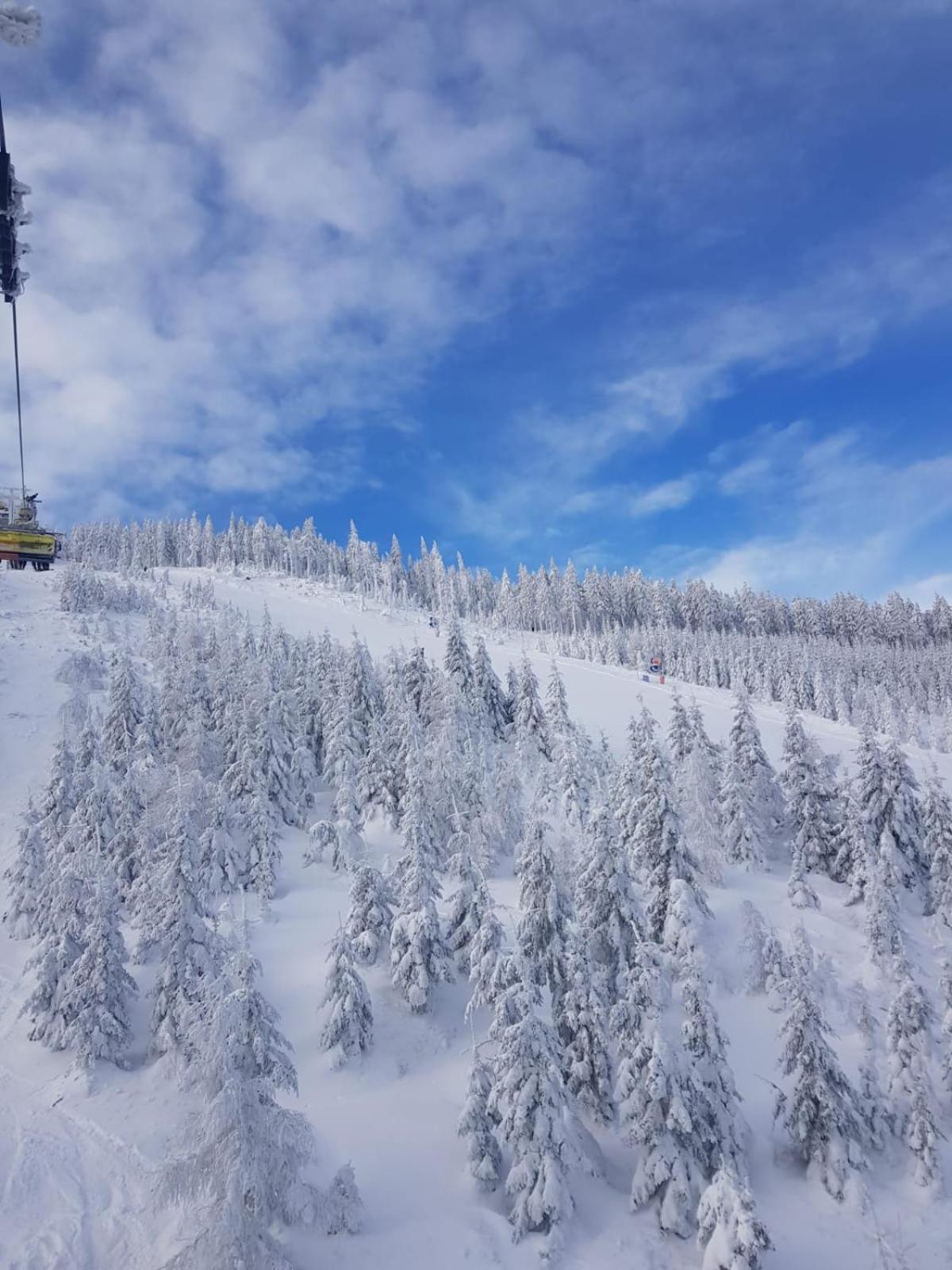 Gorska Cisza - Duzy, Komfortowy, Wyjatkowy Apartament Stronie Śląskie Exteriör bild
