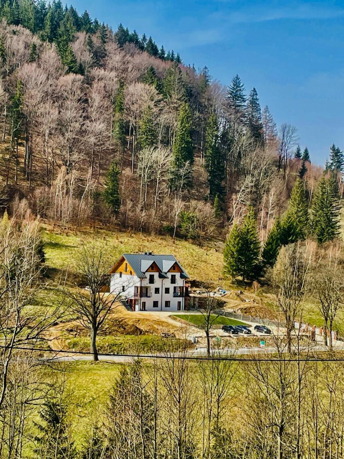 Gorska Cisza - Duzy, Komfortowy, Wyjatkowy Apartament Stronie Śląskie Exteriör bild
