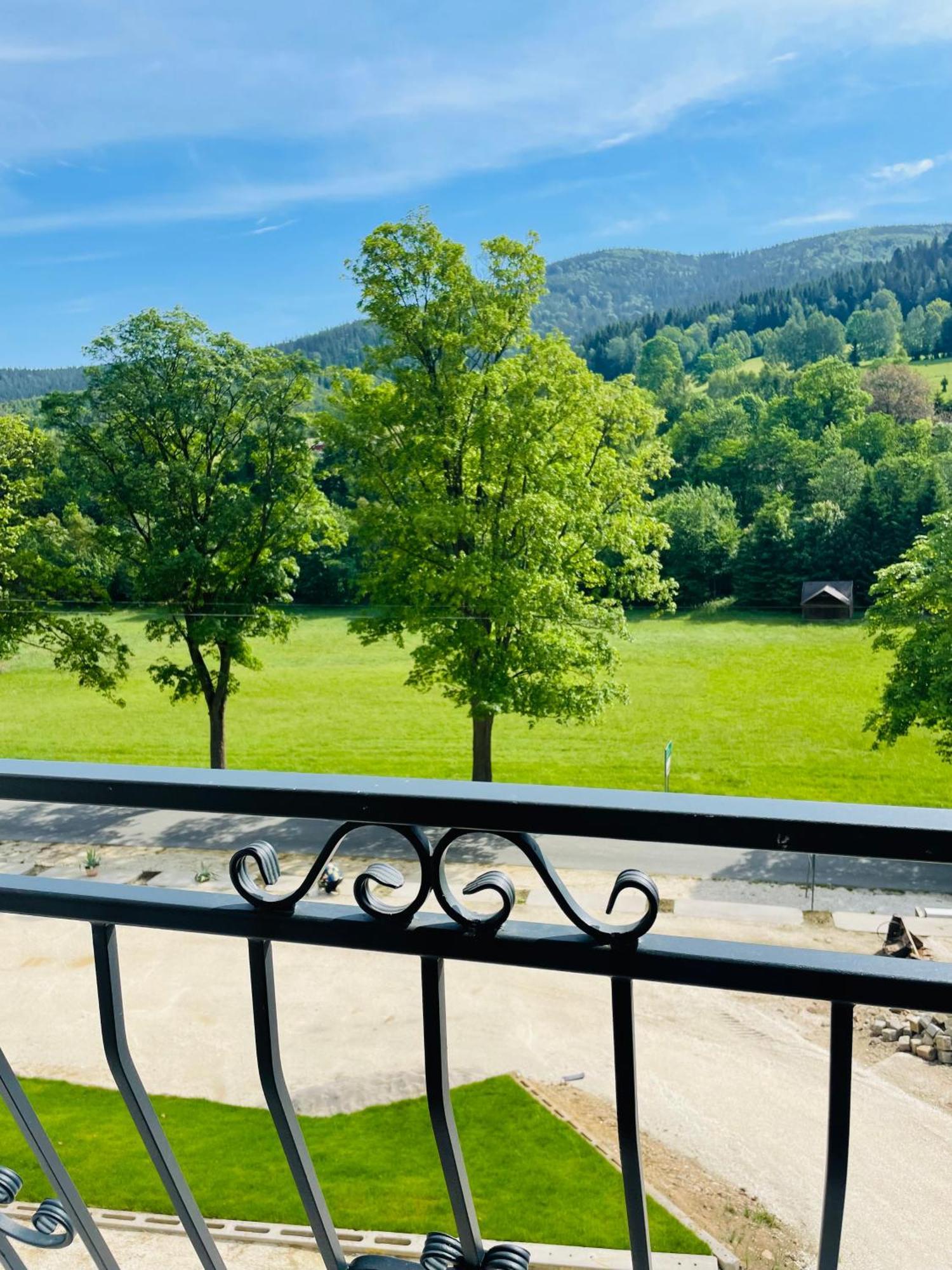 Gorska Cisza - Duzy, Komfortowy, Wyjatkowy Apartament Stronie Śląskie Exteriör bild
