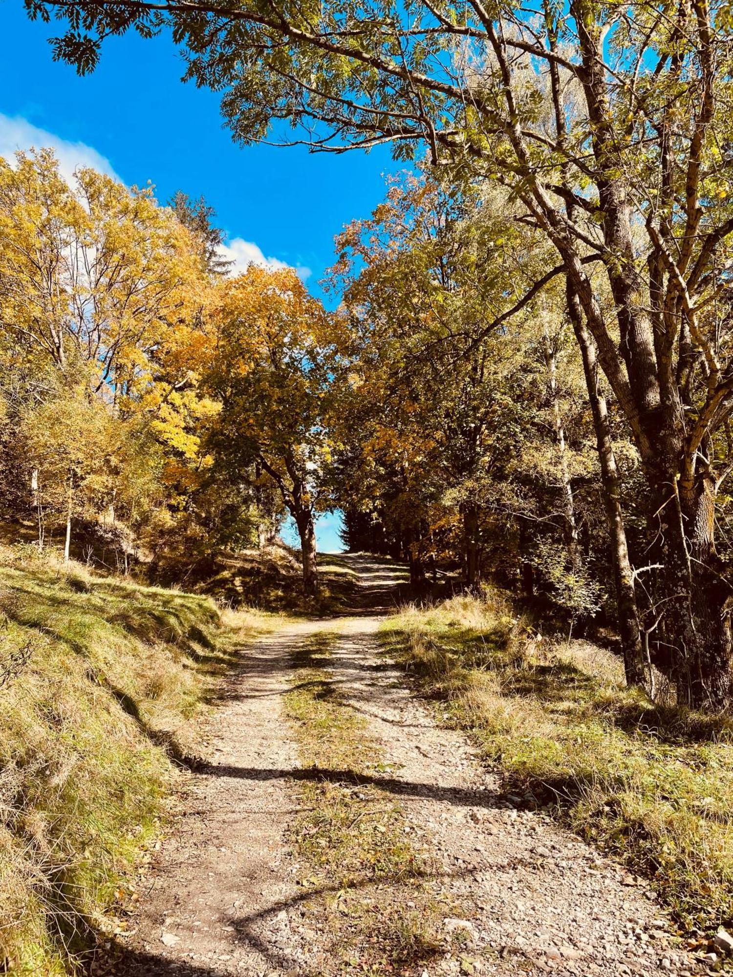 Gorska Cisza - Duzy, Komfortowy, Wyjatkowy Apartament Stronie Śląskie Exteriör bild